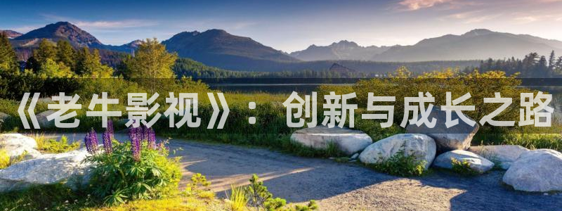草莓视频无：《老牛影视》：创新与成长之路