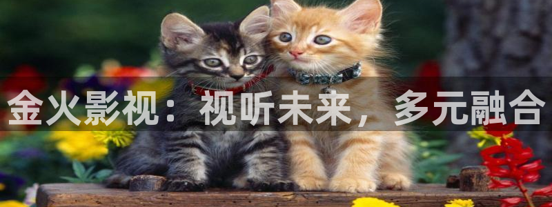 草莓视频appww：金火影视：视听未来，多元融合
