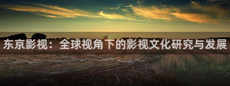 草莓视频下载网站下载：东京影视：全球视角下的影视文化研究与发展