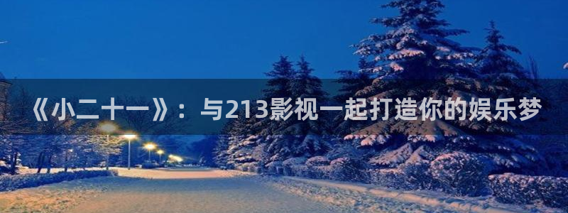 草莓视频在线无限免费破解：《小二十一》：与213影视一起打造你的娱乐梦