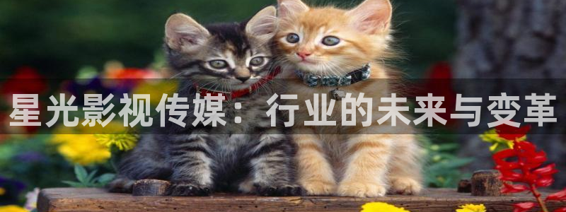 草莓视频.丝瓜下载：星光影视传媒：行业的未来与变革