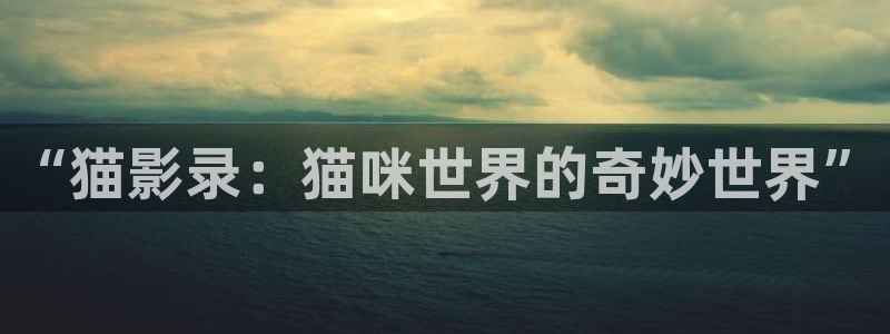 破解版草莓视频下载：“猫影录：猫咪世界的奇妙世界”